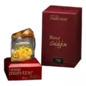 Ramon Molvizar Rose Goldskin - Интернет-магазин Aliks Perfume